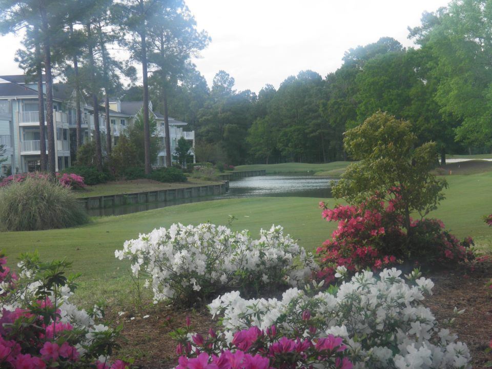 Brunswick Plantation Golf Club